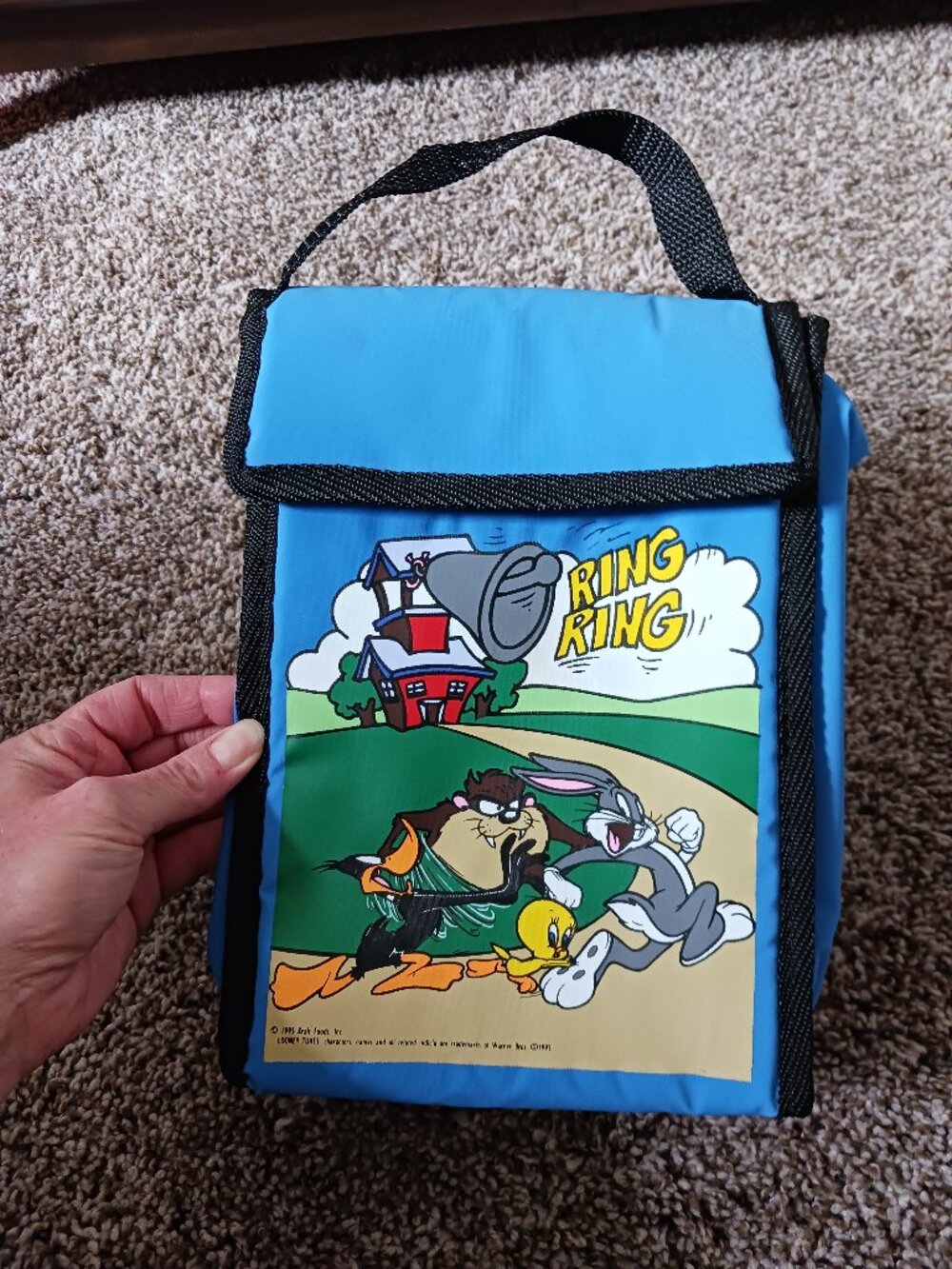Vintage Kraft 1995 Looney Tunes lunch box